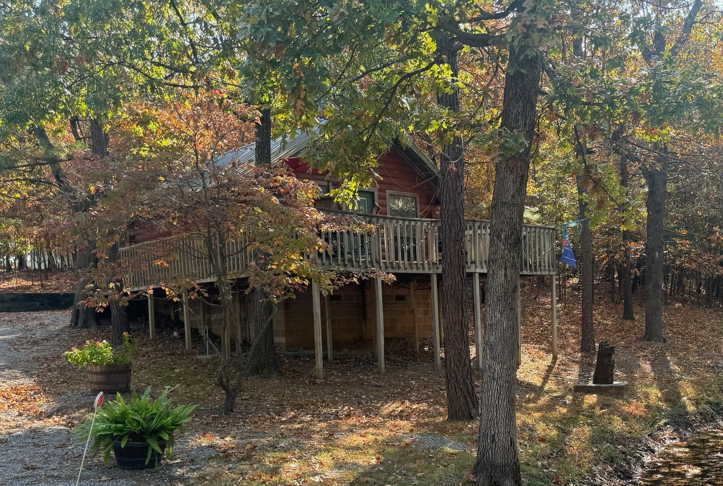 A small house is surrounded by trees in the middle of a forest.
