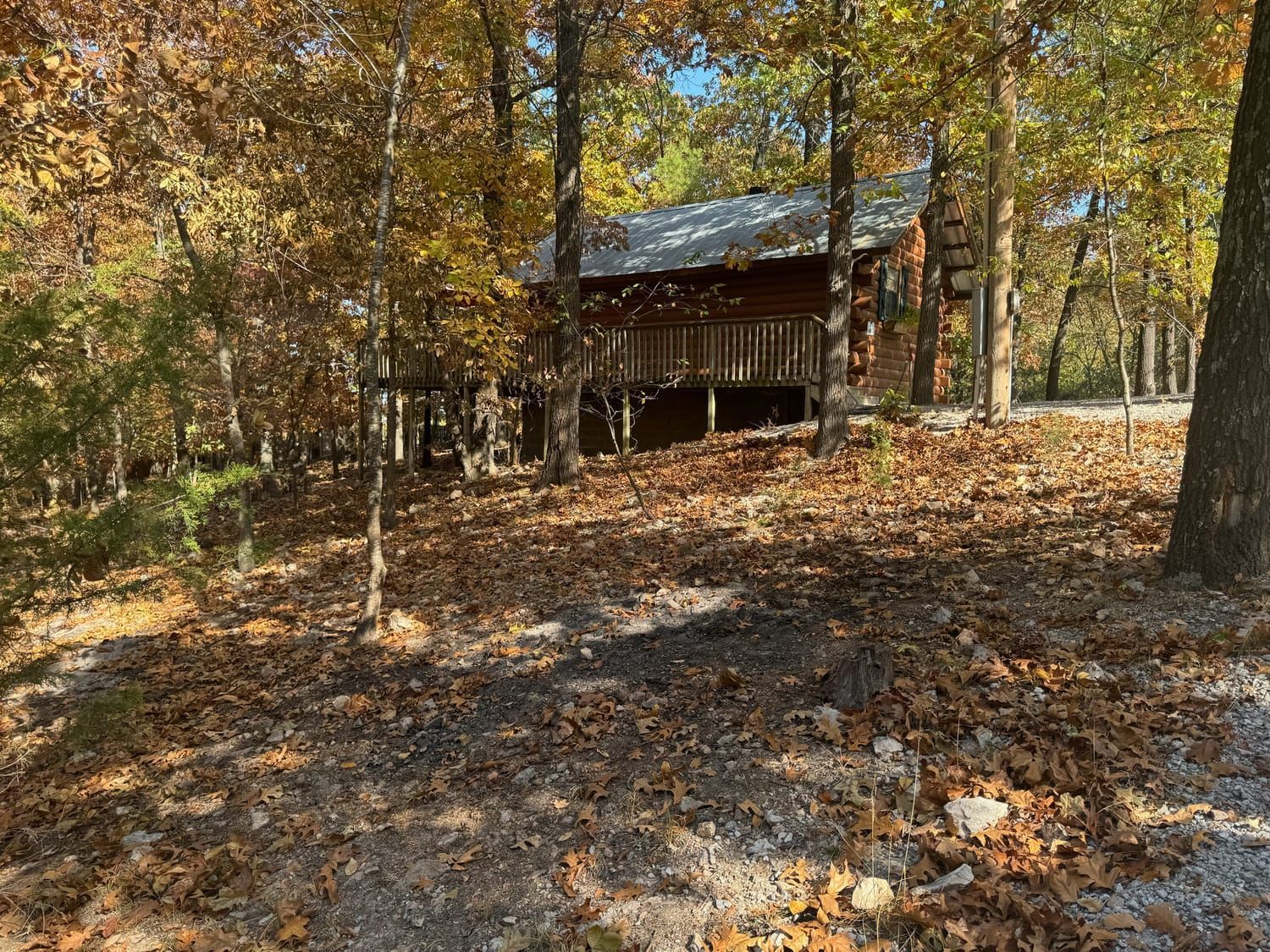 A log cabin in the middle of a forest surrounded by trees and leaves.