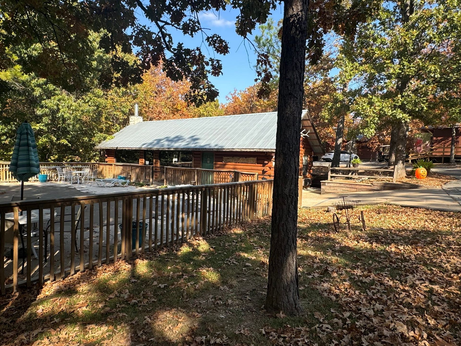 A log cabin is surrounded by trees and leaves on a sunny day.