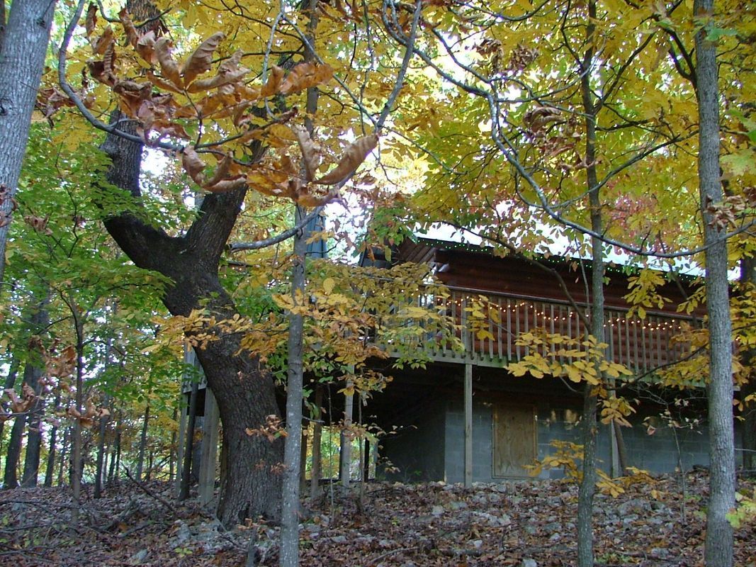 A tree house is surrounded by trees and leaves in the woods.