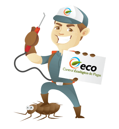 ECO