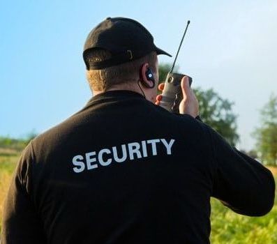 Desert Wolf Security