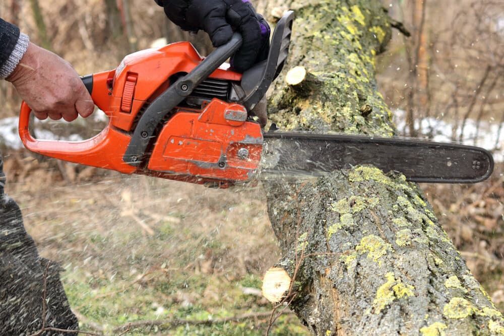 A Person is Cutting a Tree With a Chainsaw — AM & JD Contracting In Muswellbrook, NSW