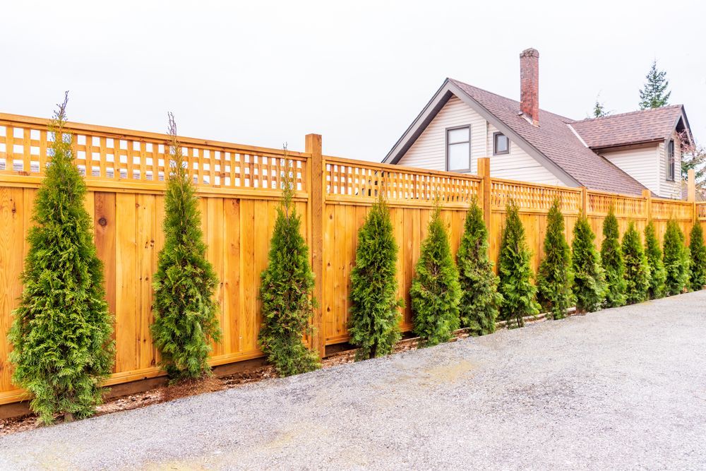 A Wooden Fence With Trees in Front of a House — AM & JD Contracting In Muswellbrook, NSW