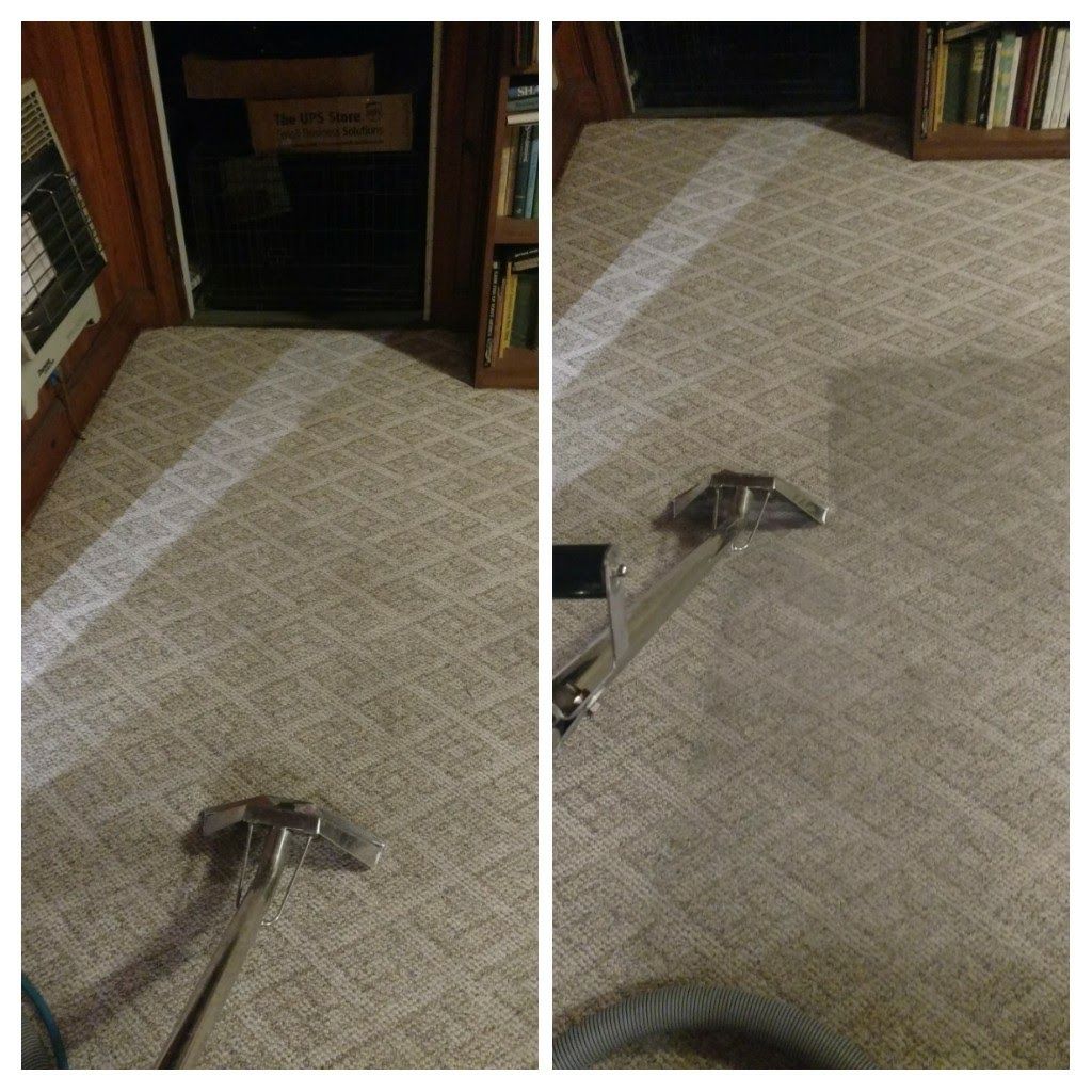 Carpet Cleaning