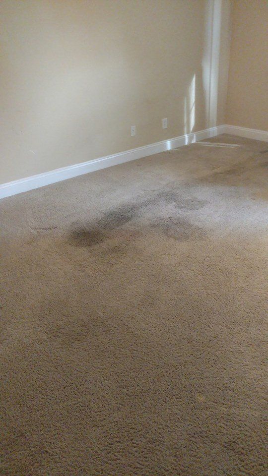 Carpet Cleaning