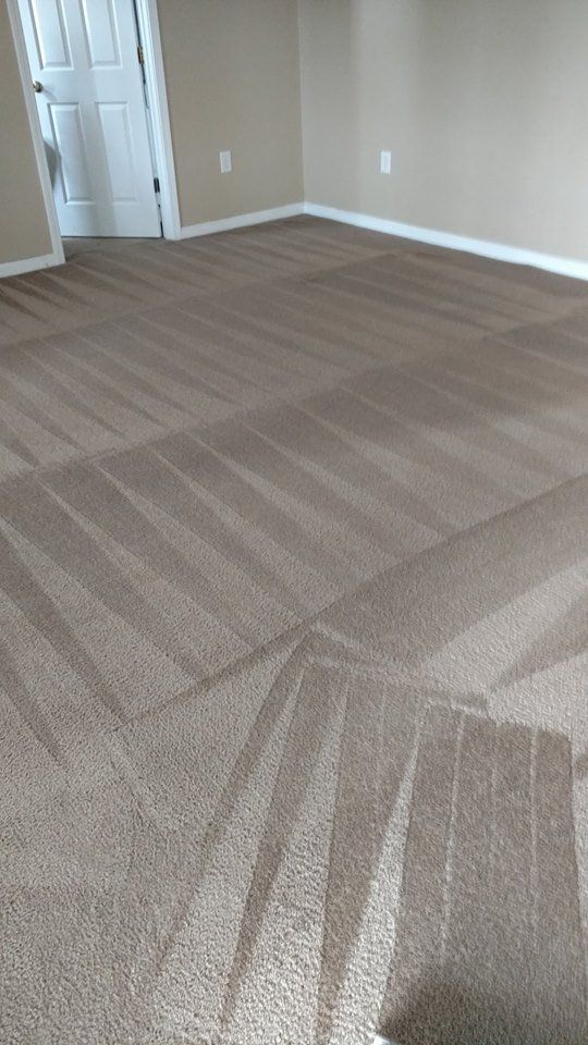 Home Carpet Cleaning