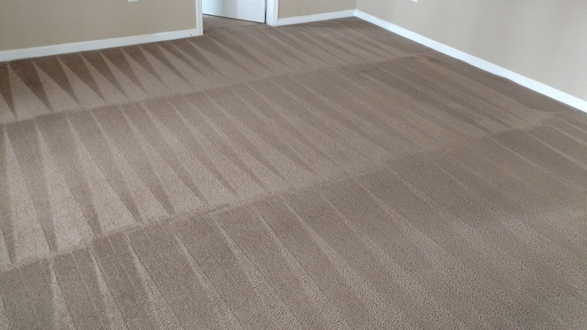 Carpet Cleaning