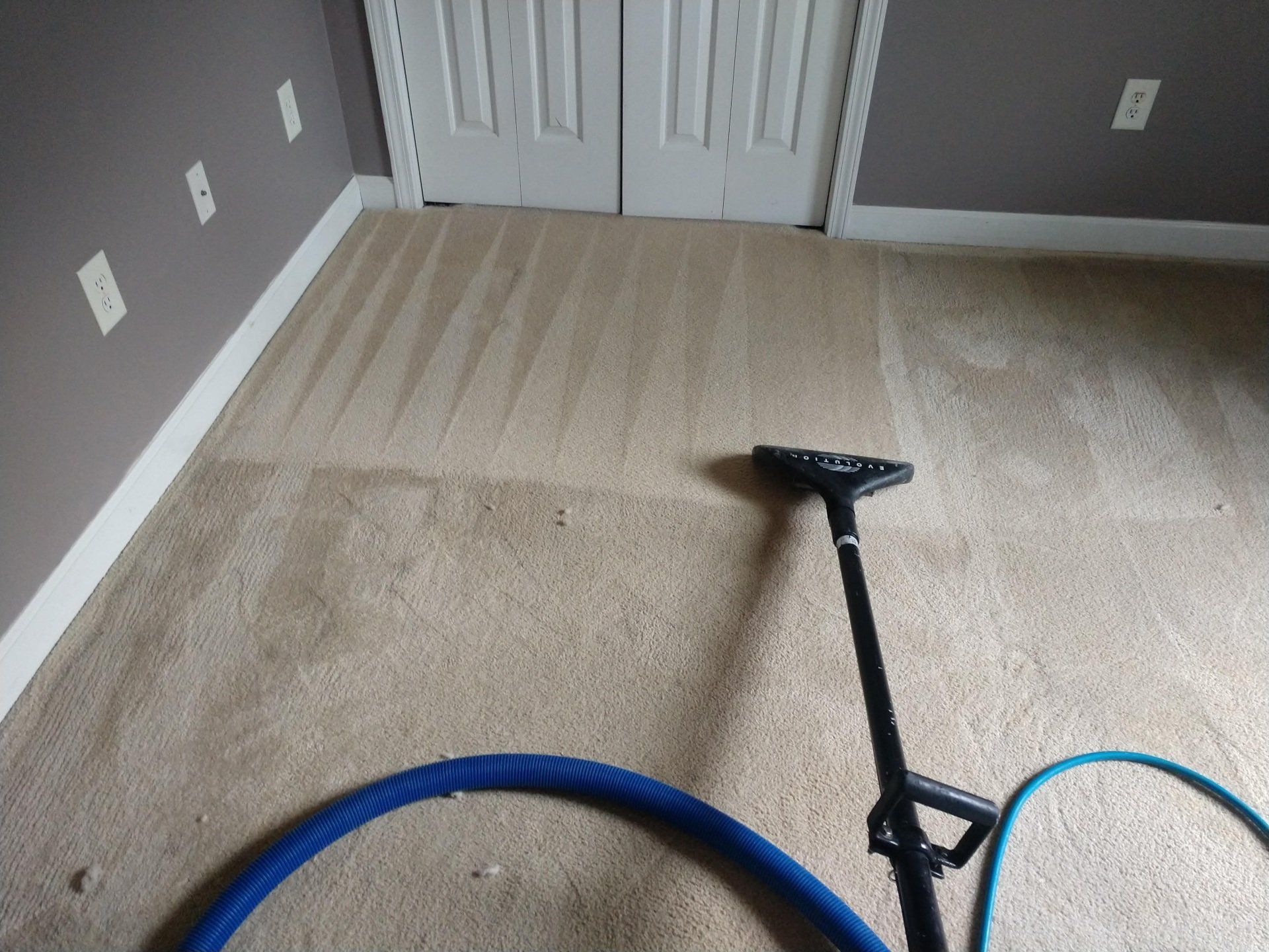 Carpet Cleaning