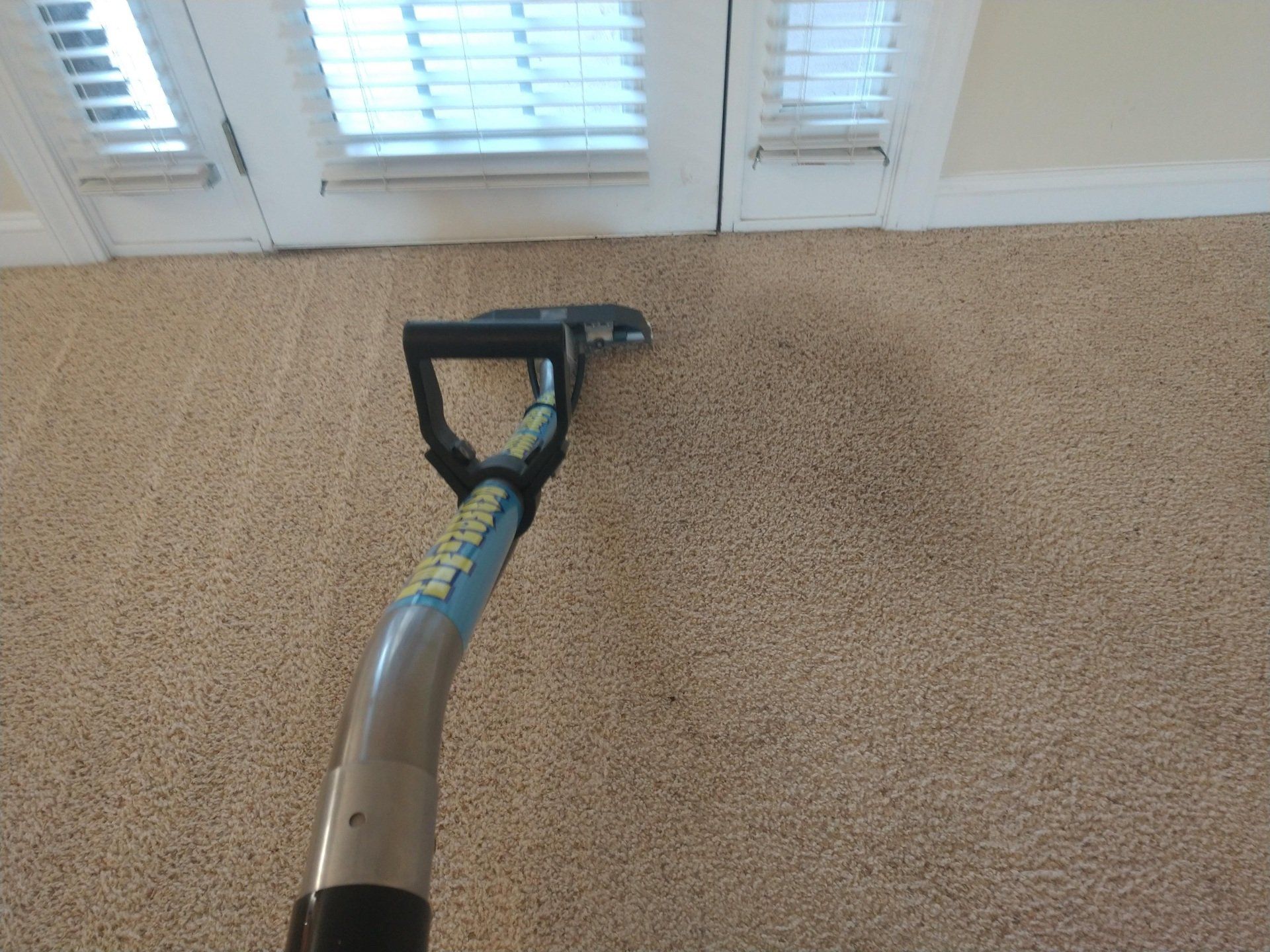Carpet Cleaning