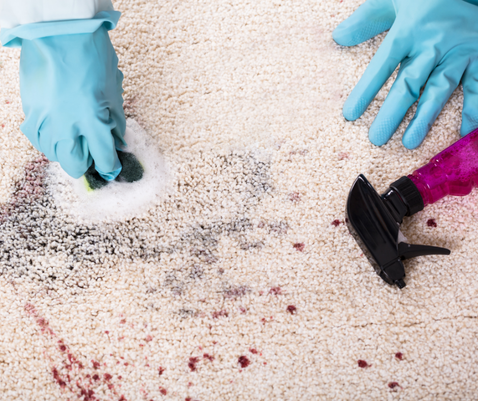 Tips for Carpet Cleaning & Area Rug Cleaning