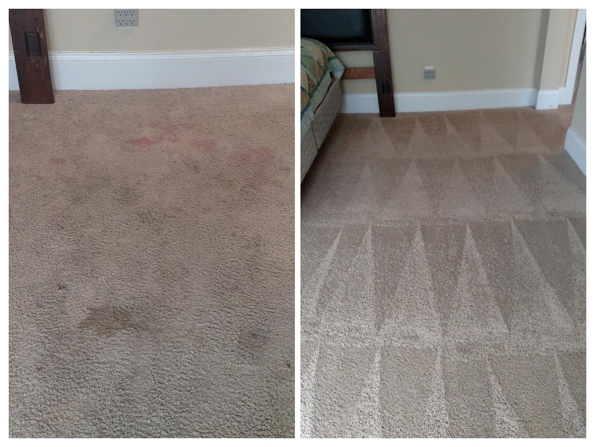 Carpet Cleaning