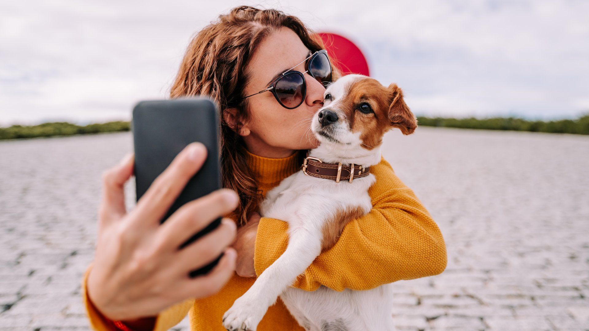 Vet Telemedicine Benalign