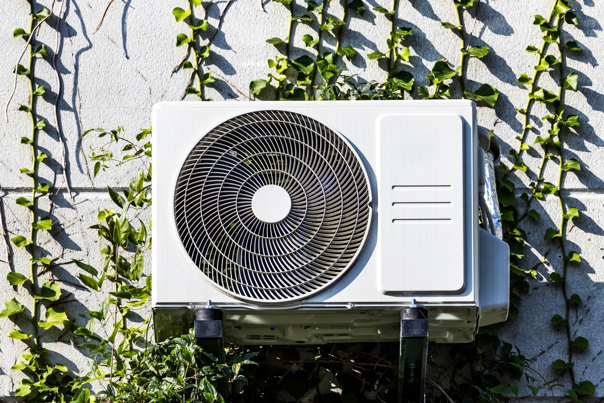 Outdoor HVAC unit mounted on wall surrounded by climbing ivy.