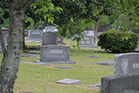 Arlington Memorial Park Cemetery Grounds