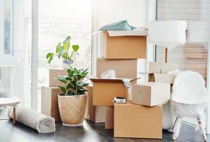 Stacked cardboard moving boxes, a potted plant, and a white chair in a bright, sunlit room.