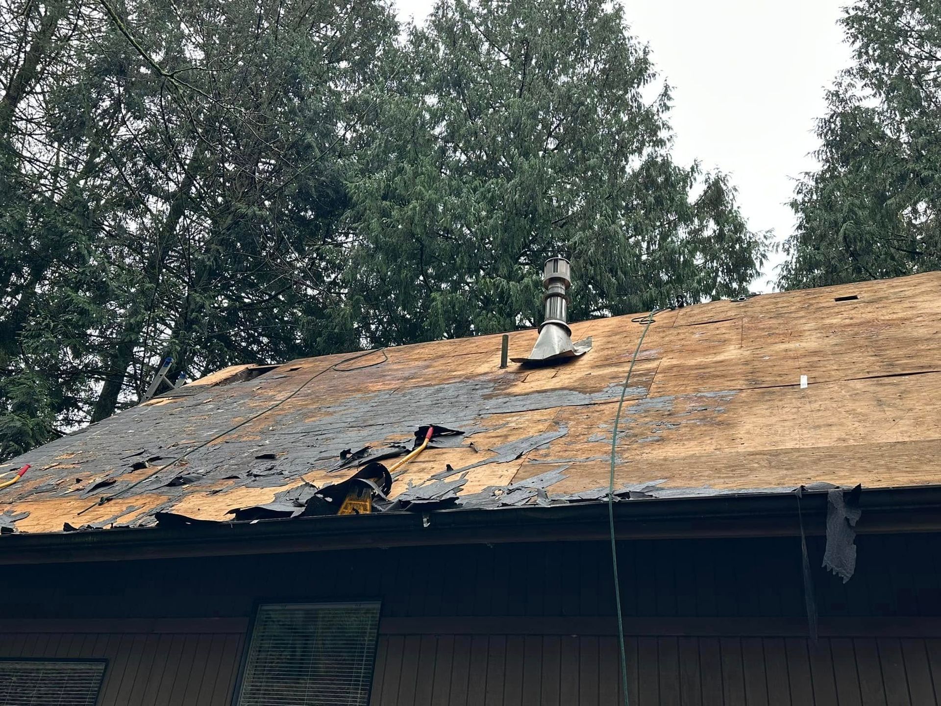 rotted roof