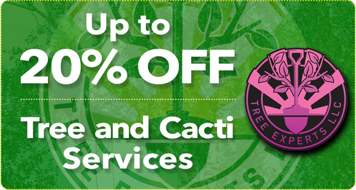 a green coupon that says up to 20% off tree and cactus services