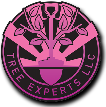 the logo for tree experts llc shows a tree growing out of a shovel .