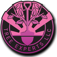 the logo for tree experts llc shows a tree growing out of a shovel .