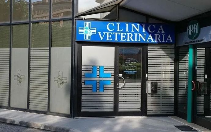 Ingresso della clinica veterinaria con insegna blu