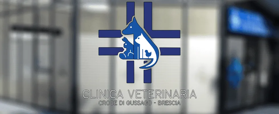 Logo di una clinica veterinaria su sfondo sfocato, con una croce blu e l'icona di un cane.