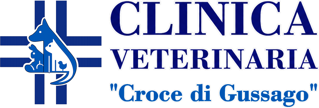 Logo for 