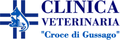 Logo for