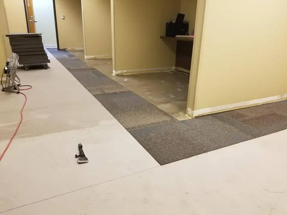 A room with a carpeted floor and a drill on the floor.