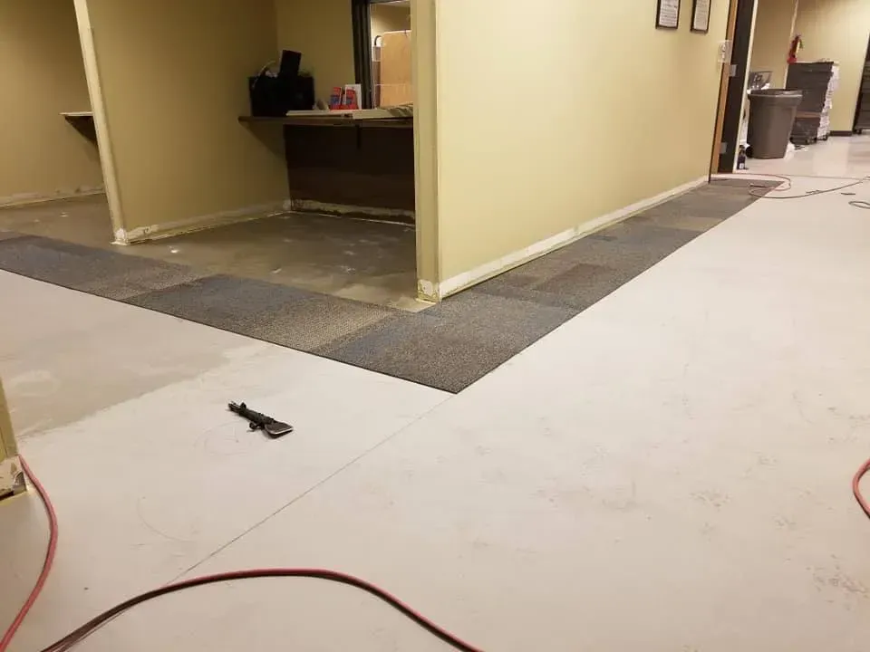 A room with a carpeted floor and a red cord on the floor.