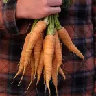 Seasonal organic fruit and vegetables at the Ballarat Wholefoods Collective