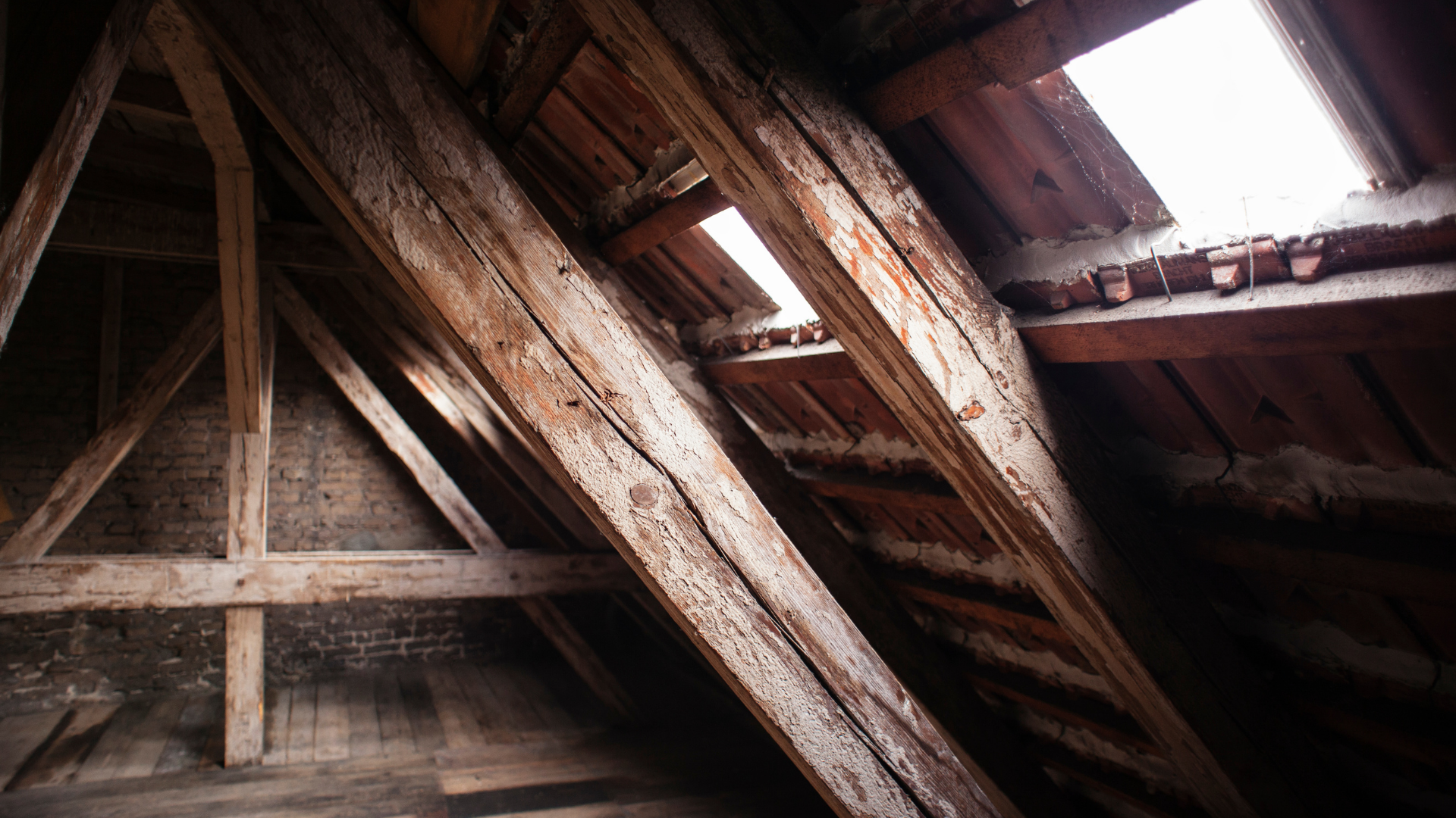 Wooden attic interior with beams and a small skylight.