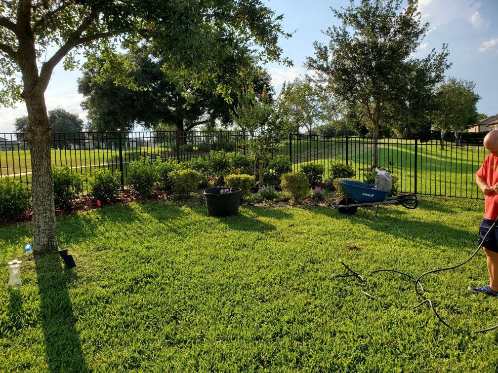 Bush & shrub planting service.