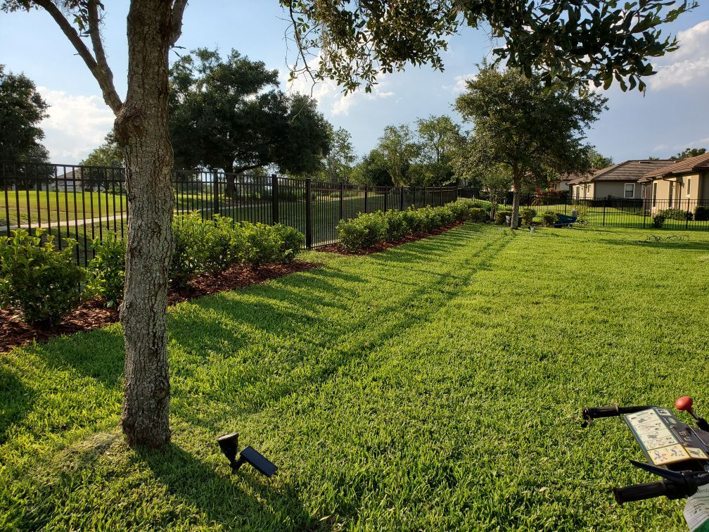 landscaping installation