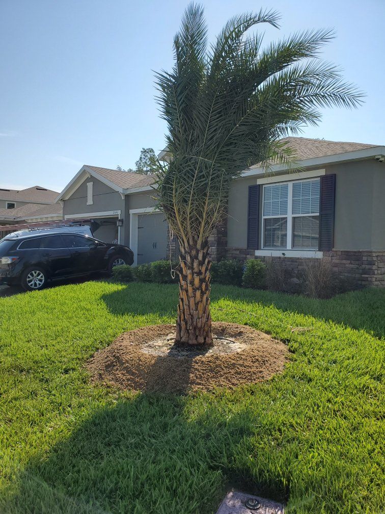 Tree installation services