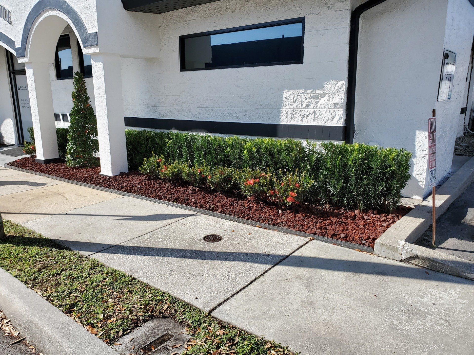 hedge & flower Installation