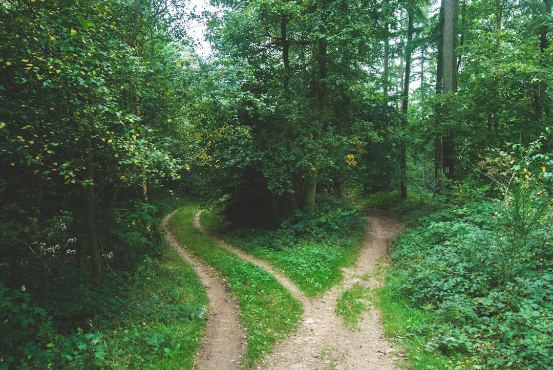 fork in road - buy individual health insurance colorado