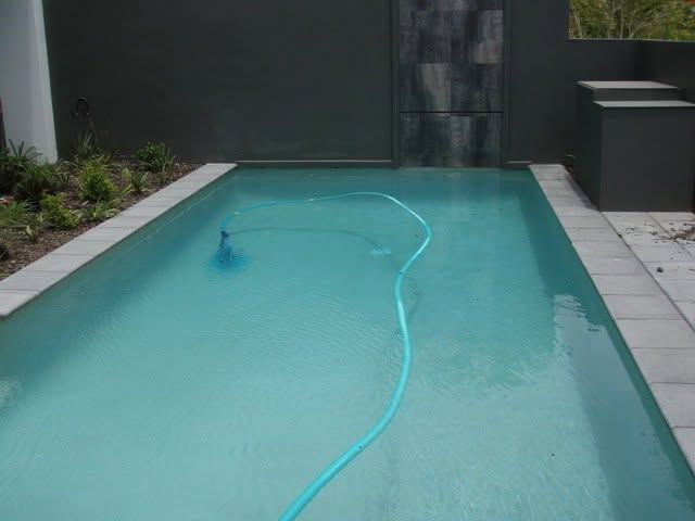 Empty backyard swimming pool with a blue hose floating in the water, bordered by gray tiles and plants