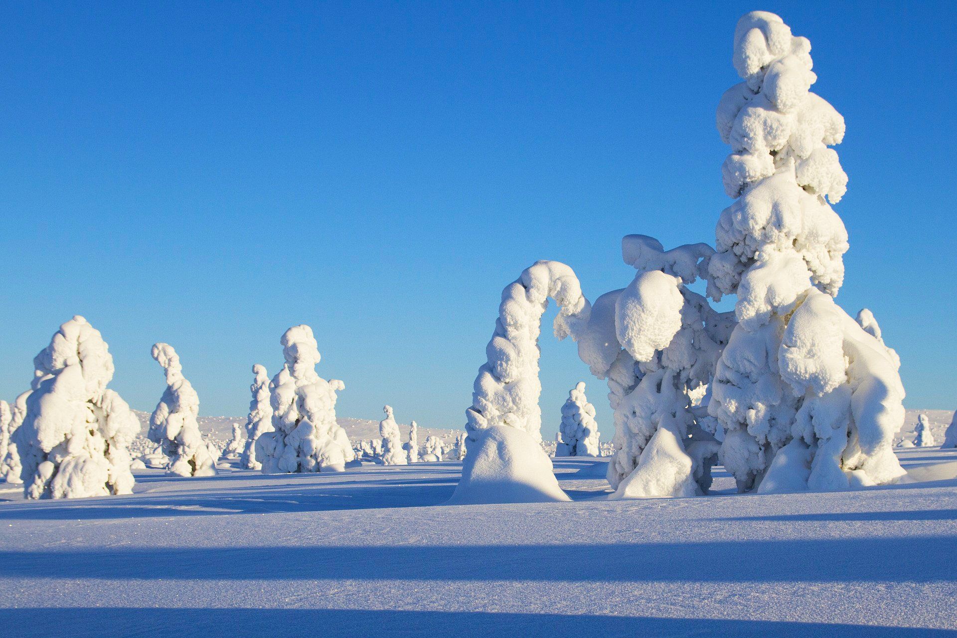 winter safari finland