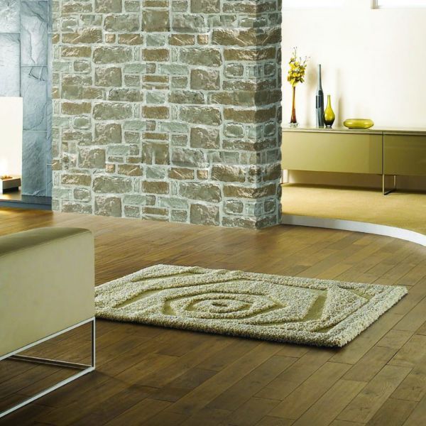 parete in pietra casa