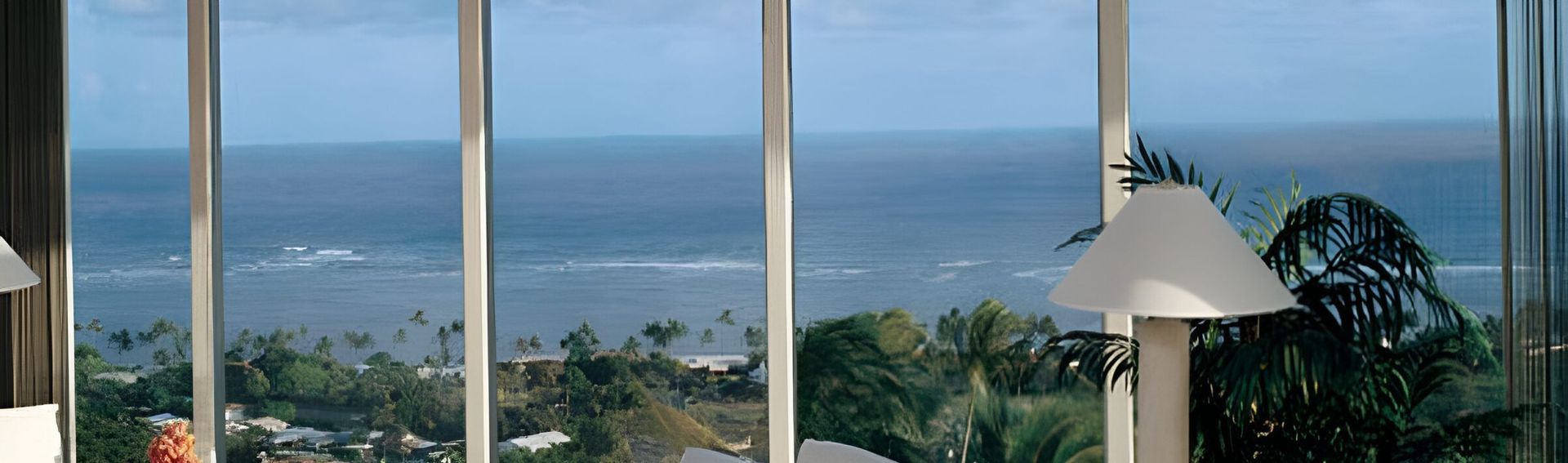 A Living Room With A View Of The Ocean And Palm Trees — A & C Classic Window Tinting In Maitland Vale, NSW
