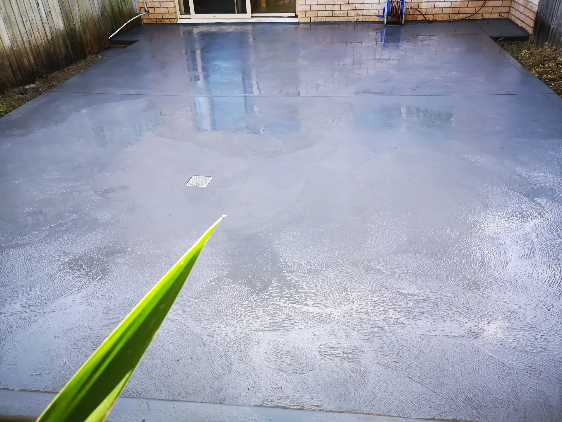 Wet, gray-painted concrete patio. A single green leaf in the foreground. Sunlight reflects off the surface.