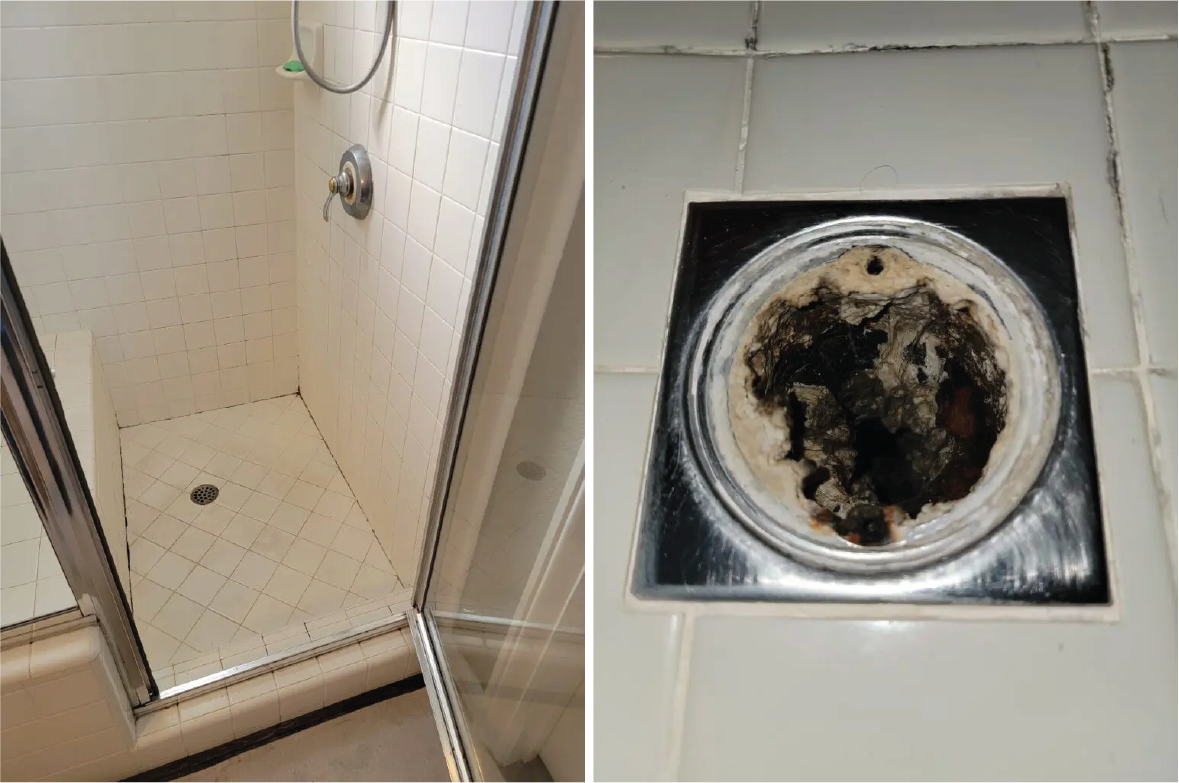 What Is Mildew In Shower What Is Mildew In Shower