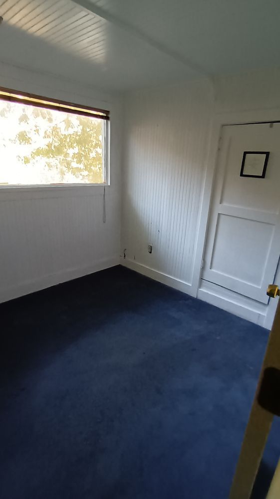 An empty room with a blue carpet and a window.