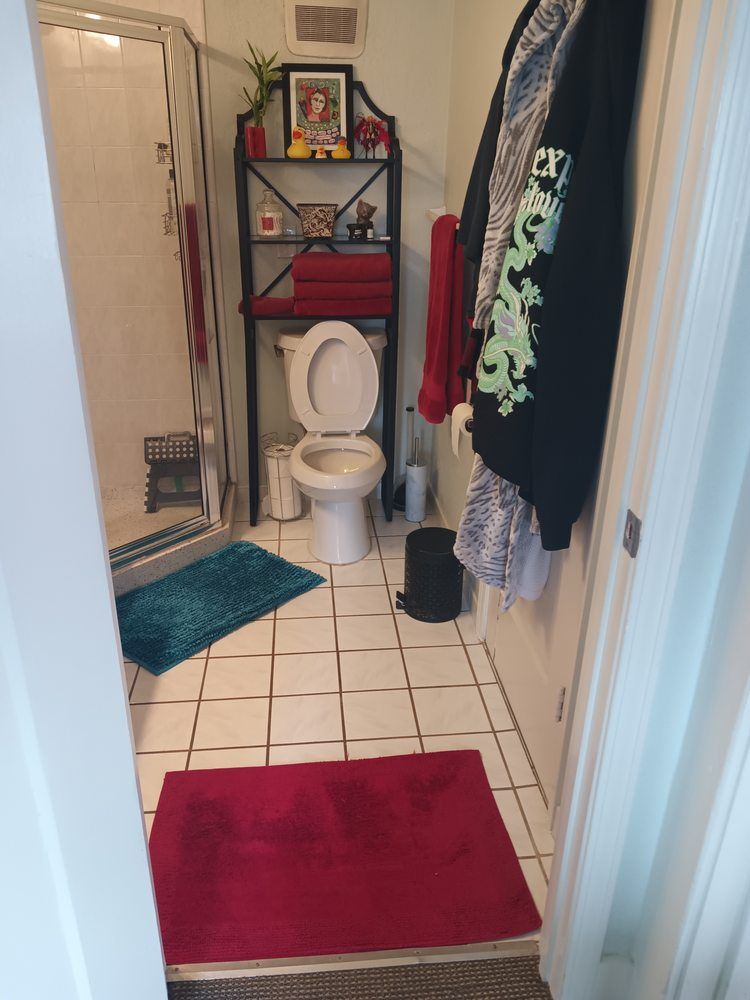 A bathroom with a toilet and a red rug