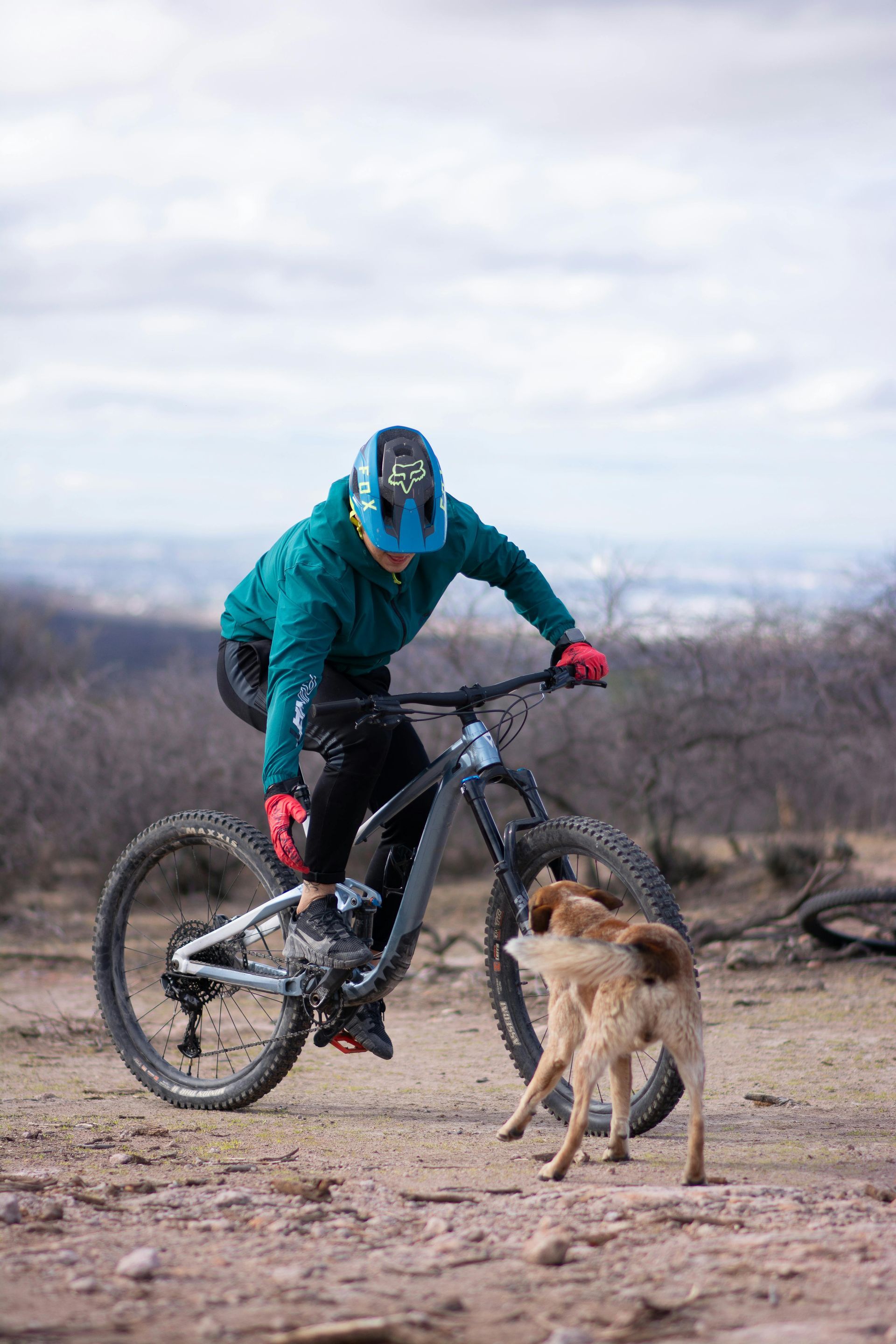 Grand Junction Mountain Biking