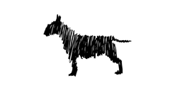 Black Dog Therapy logo