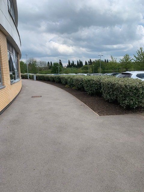 A walkway leading to a building with a lot of cars parked in front of it.