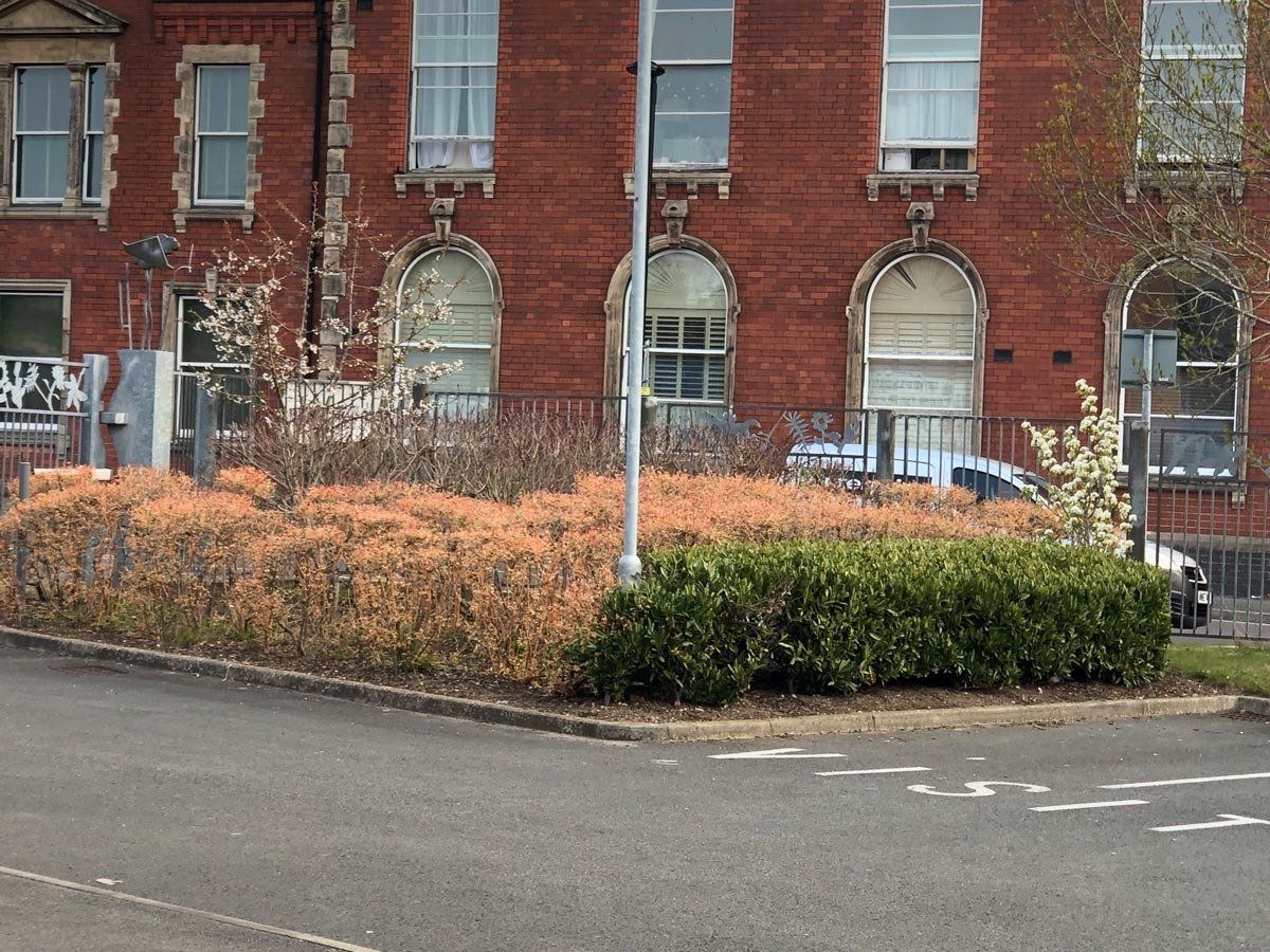 A brick building with arched windows and bushes in front of it