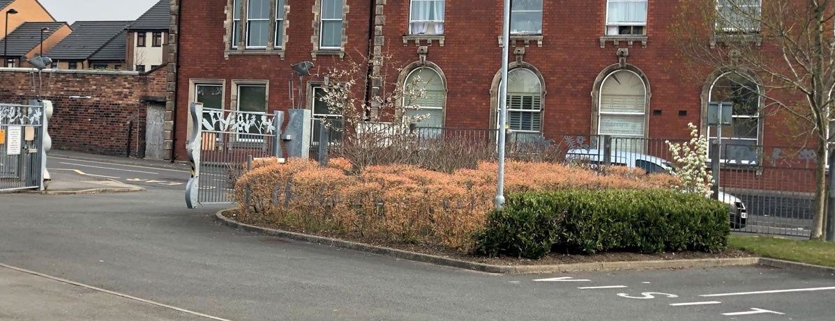 a school carpark with silver gate and flower planters